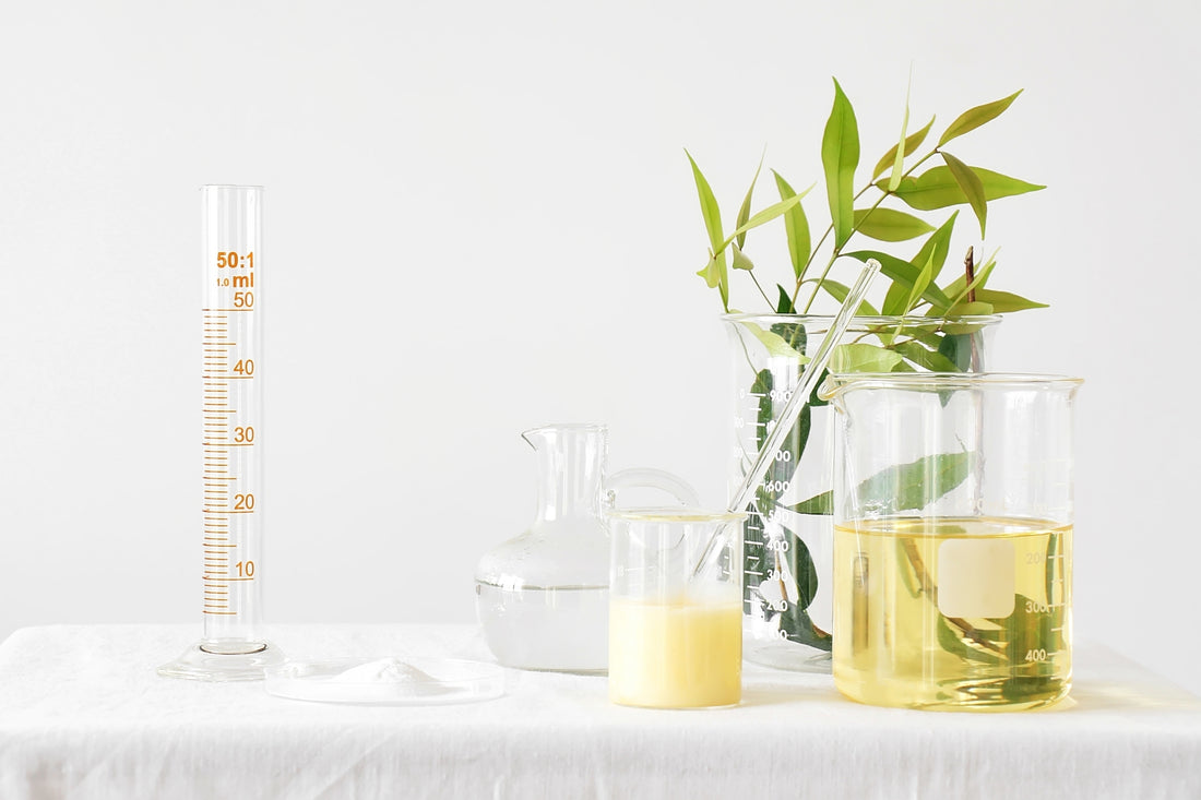 Ecomoist's Eco-Friendly Formula Upgrade: Cleaner, Greener, Better